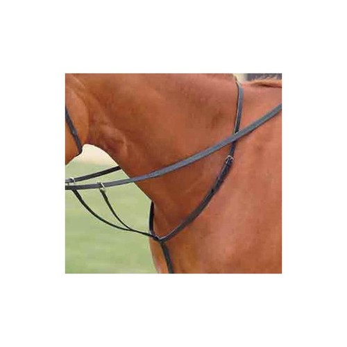 Running martingale - running,