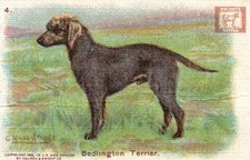 1910 john dwight co - 1910,