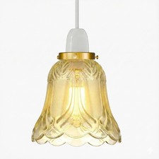 Modern Ceiling pendant light