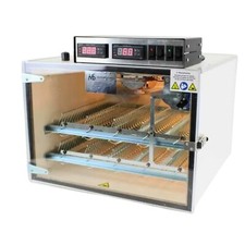 Ms100v egg incubator - egg, with