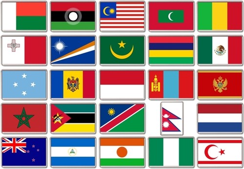 Fridge magnet world flags - fridge,