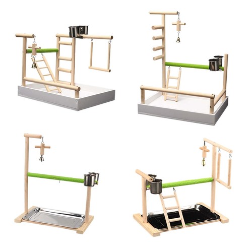 Parrot playstand bird - playstand, play