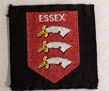 Vintage Boy Scout Badge Vintage Essex County Badge Ribbon