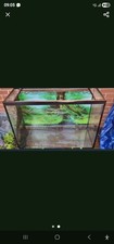 Aquarium Over 3ft