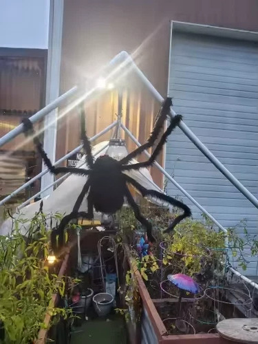 Halloween big plush spider - halloween,