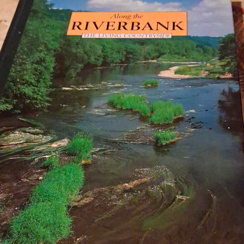 Along the riverbank - along,