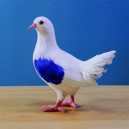 Artificial pigeon model - pigeon,