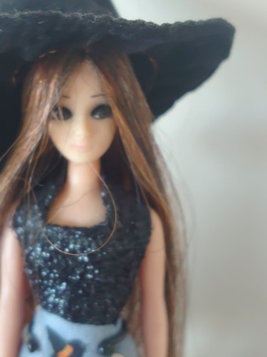 Ooak custom witch - ooak,