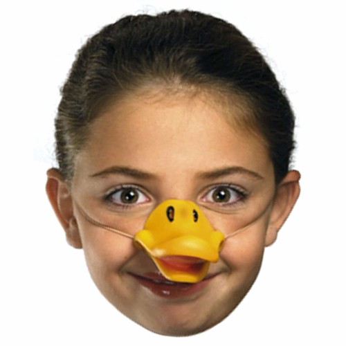 Duck goose duckie farm animal - duck,