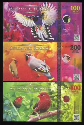 Set atlantic forest - set,