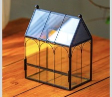 Small Glass Terrarium