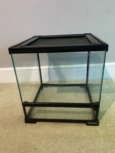 Small habitat terrarium with - habitat,