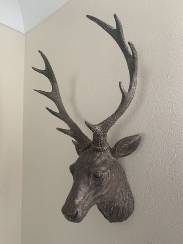 Mounted deer stag - deer/stag, head