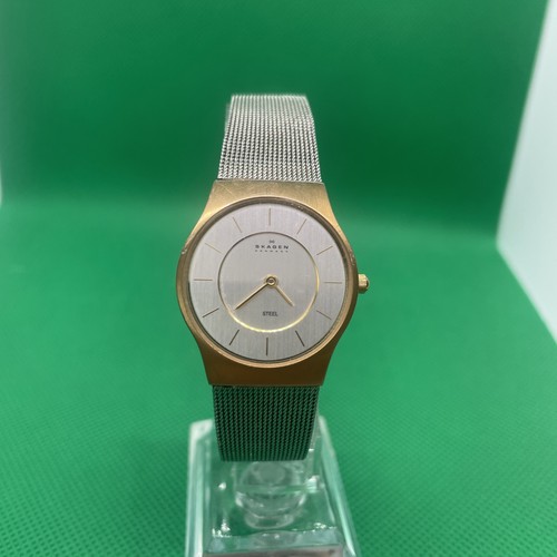 Skagen steel ladies watch - ,