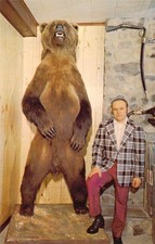 1974 Kodiac Brown Bear