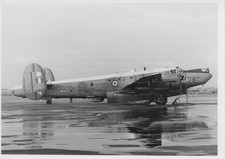 AVRO SHACKLETON - original