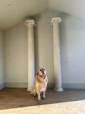 Antique wooden corinthian - wooden,