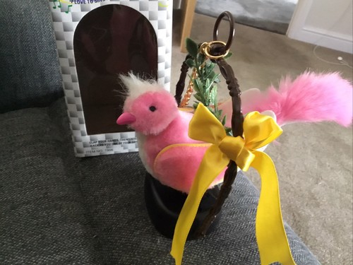 Jingle bird singing sound - bird,