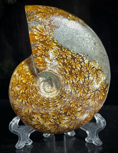 Large 246g madagascan crystal - large,