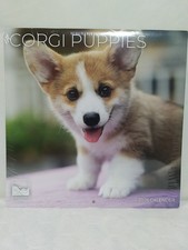 2026 Corgi Puppies Wall
