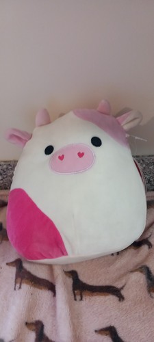 Squishmallow caedyn inch cow - 8,
