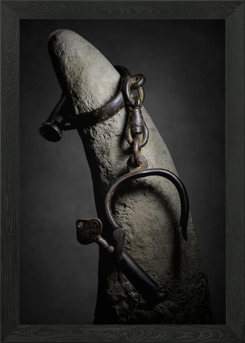 Rhino horn handcuffed - , framed
