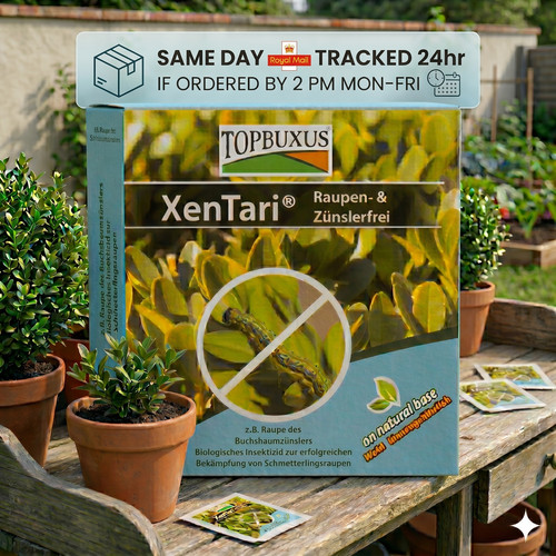Xentari box tree moth - box,