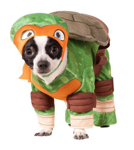 Rubie michelangelo dog - michelangelo,