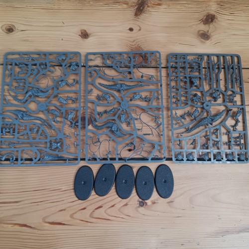 Age sigmar hedonites of - age,