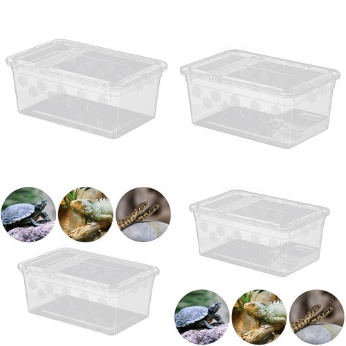Reptile feeding box - feeding,