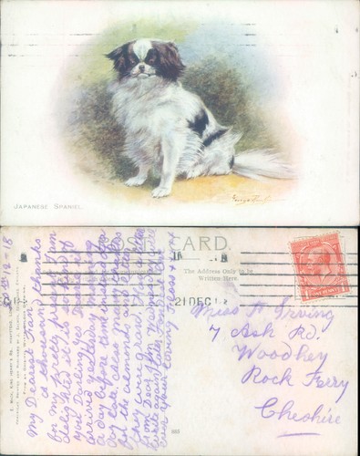 Japanese spaniel kay - spaniel, 1918