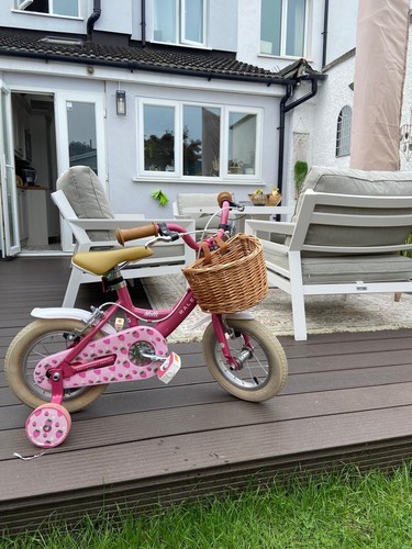 Girls bike raleigh - girls, molli