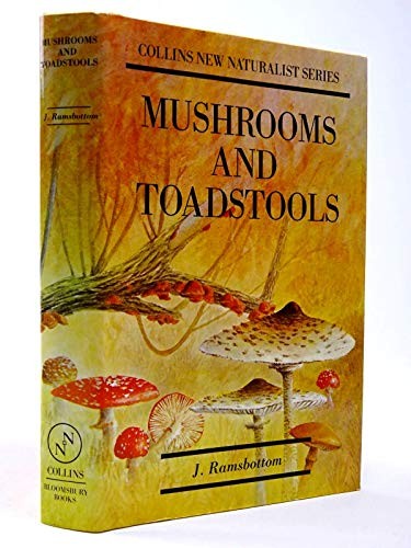 Mushrooms and toadstools new - mushrooms,