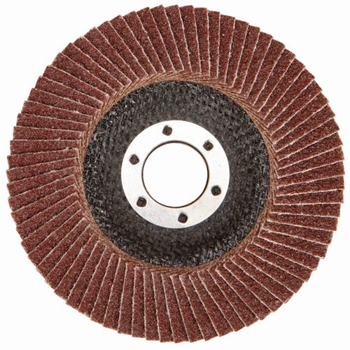 New flap disc - flap, for