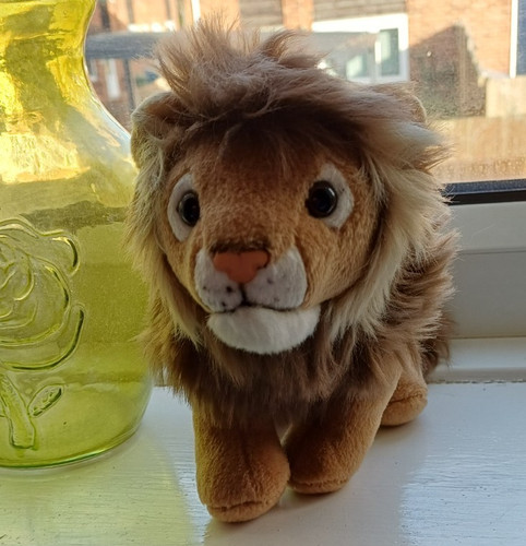 Lion soft toy plush - ,