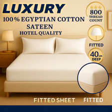 800 Thread Count 100% Egyptian