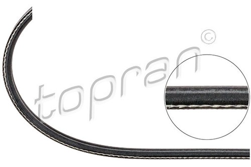 New ribbed belt - belt, for