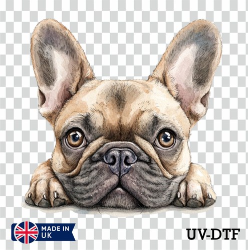 French bulldog dtf - dtf, sticker