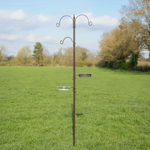 Garden wild bird feeding - wild,