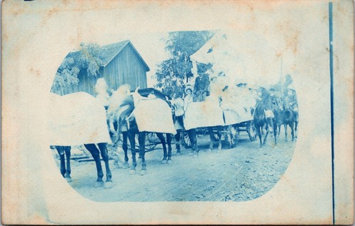 Cyanotype rppc six - rppc, six‑horse