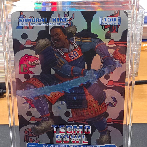 Tecmo bowl samurai - bowl, mike