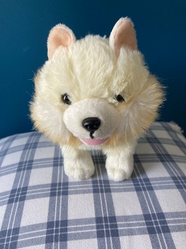 Poseable pomeranian puppy - pomeranian,
