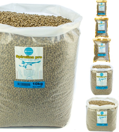 Koi carp protein - protein, spirulina