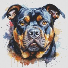 American Bully Puppy Dog