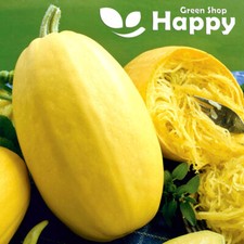 VEGETABLE SEEDS - SPAGHETTI