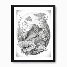Tancho Koi Fish 1, Haeckel Style Il Framed Wall Art Poster Canvas Print Picture