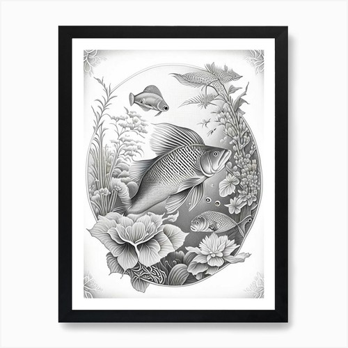 Tancho koi fish haeckel - fish, 1,