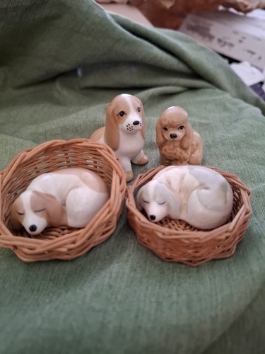 Szeiler dog collection - dog,