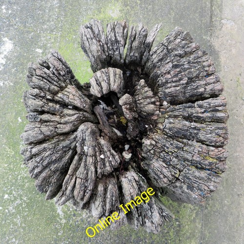 Photo 6x4 weathered wooden - photo,