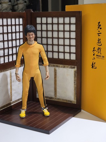 Bruce lee game - bruce, of